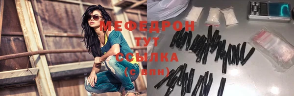 трава Гатчина