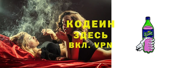 ПСИЛОЦИБИНОВЫЕ ГРИБЫ Заводоуковск