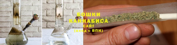 ПСИЛОЦИБИНОВЫЕ ГРИБЫ Заводоуковск