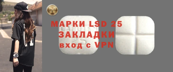 ПСИЛОЦИБИНОВЫЕ ГРИБЫ Заводоуковск