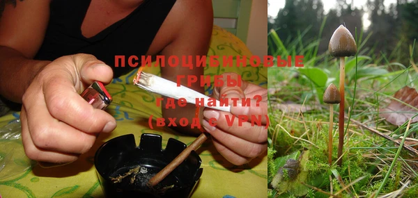 ПСИЛОЦИБИНОВЫЕ ГРИБЫ Заводоуковск