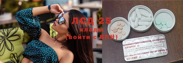 ПСИЛОЦИБИНОВЫЕ ГРИБЫ Заводоуковск