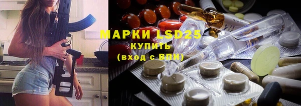 ПСИЛОЦИБИНОВЫЕ ГРИБЫ Заводоуковск